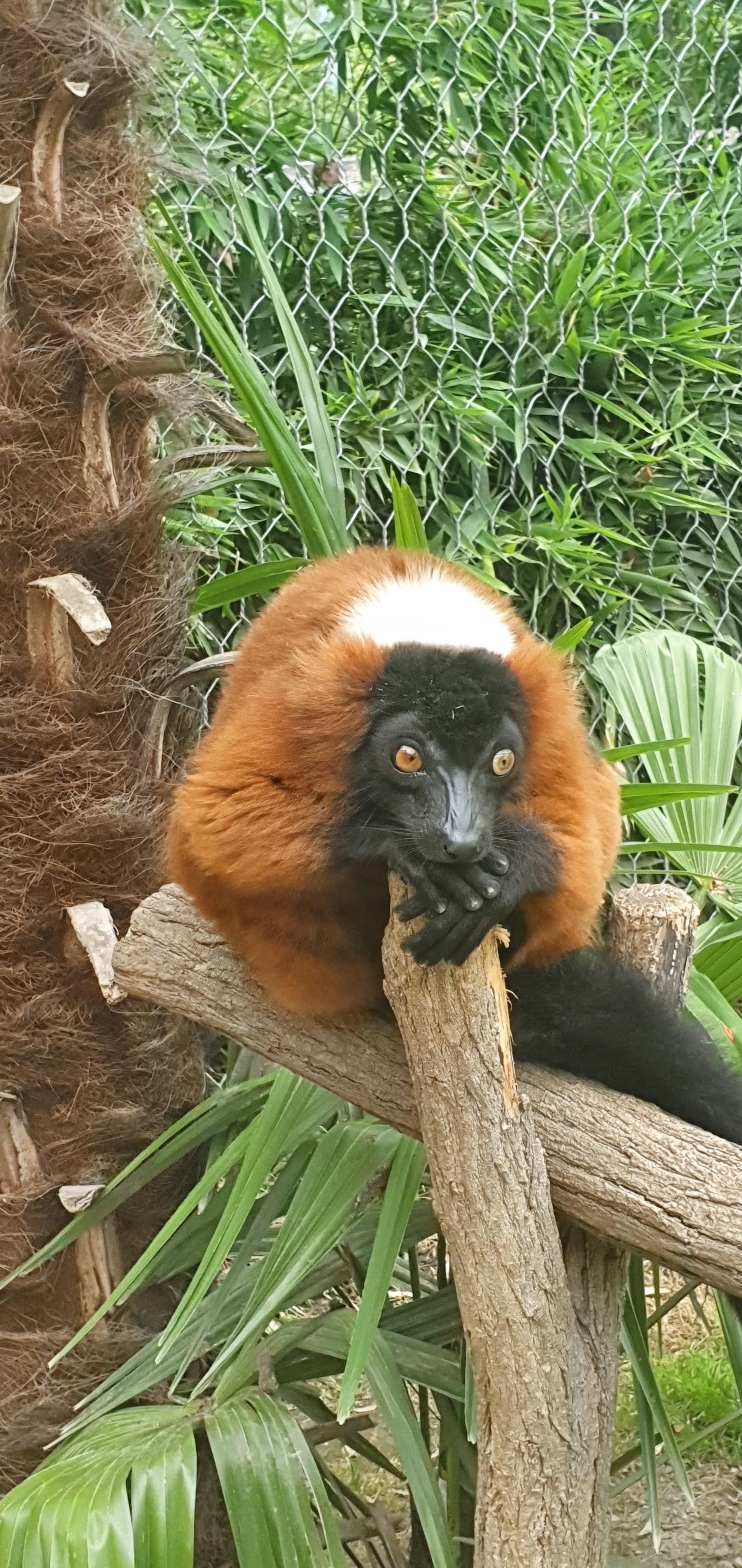 Photo n° 3 de l'avis de Beatrice.o fait le 20/08/2022 à 07:43