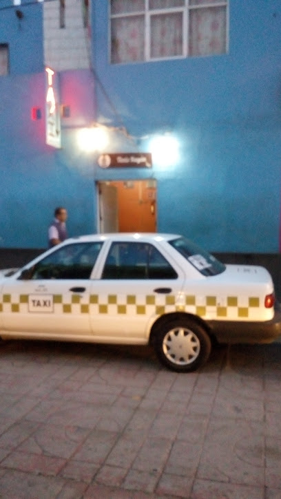 Unión de Taxista de Santa María Rayón