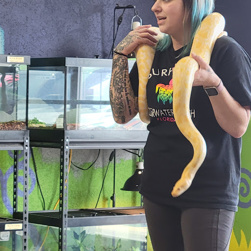 Pet Store «Tye-Dyed Iguana - Reptiles», reviews and photos, 1905 W U.S. 50, Fairview Heights, IL 62208, USA