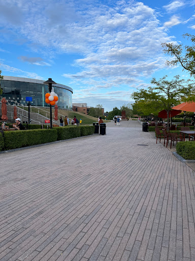 University «Rochester Institute of Technology», reviews and photos