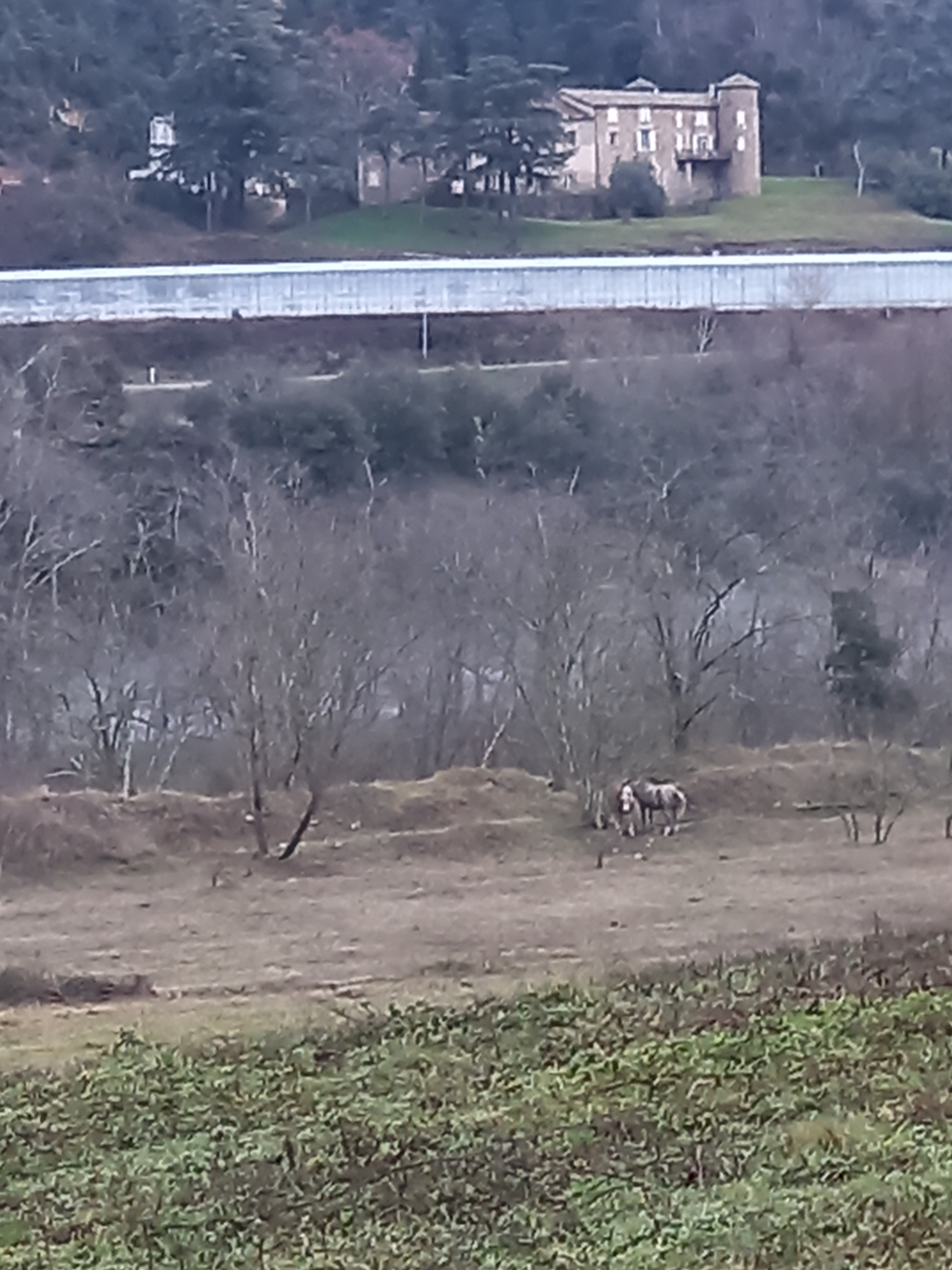 Photo n° 12 de l'avis de Cyril.A fait le 02/08/2020 à 13:00