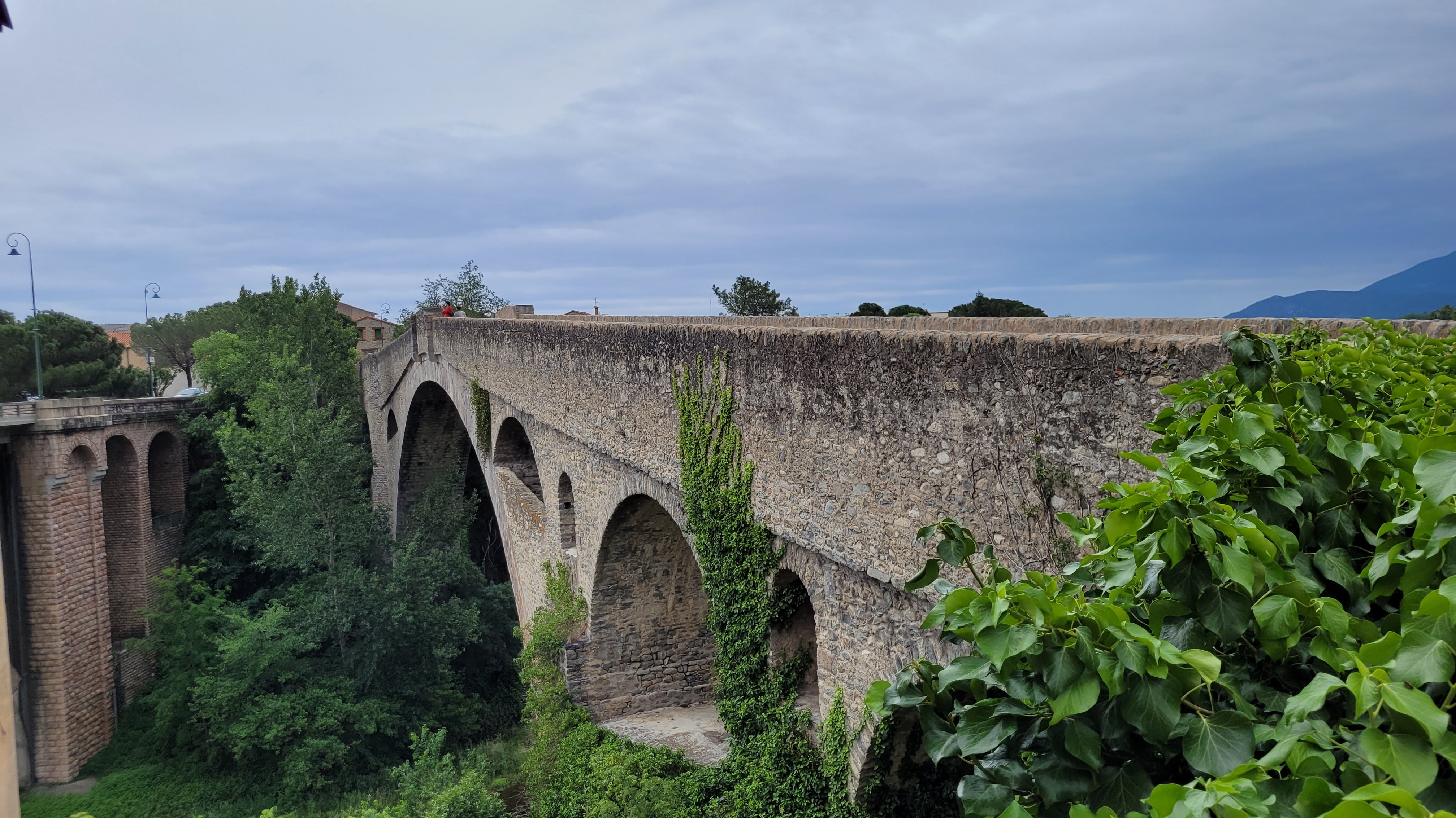 Photo n° 12 de l'avis de Caillet.a fait le 23/05/2023 à 13:48