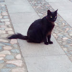 Photo n°13 de l'avis de Valentina.c fait le 20/07/2021 à 21:29 sur le  EXMA - Centro Comunale d'Arte e Cultura à Cagliari