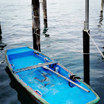 Photo n°9 de l'avis de Mela.e fait le 09/01/2018 à 12:20 sur le  Cayo Blanco à Chioggia