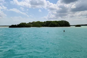 Isla de los Pájaros image