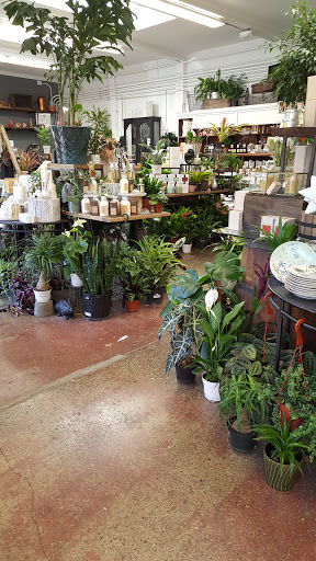 Tiendas para comprar plantas artificiales San Francisco