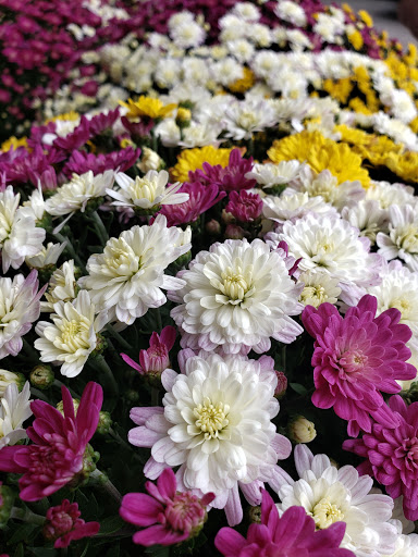 Supermarket «Giant Eagle Supermarket», reviews and photos, 4343 E Royalton Rd, Broadview Heights, OH 44147, USA