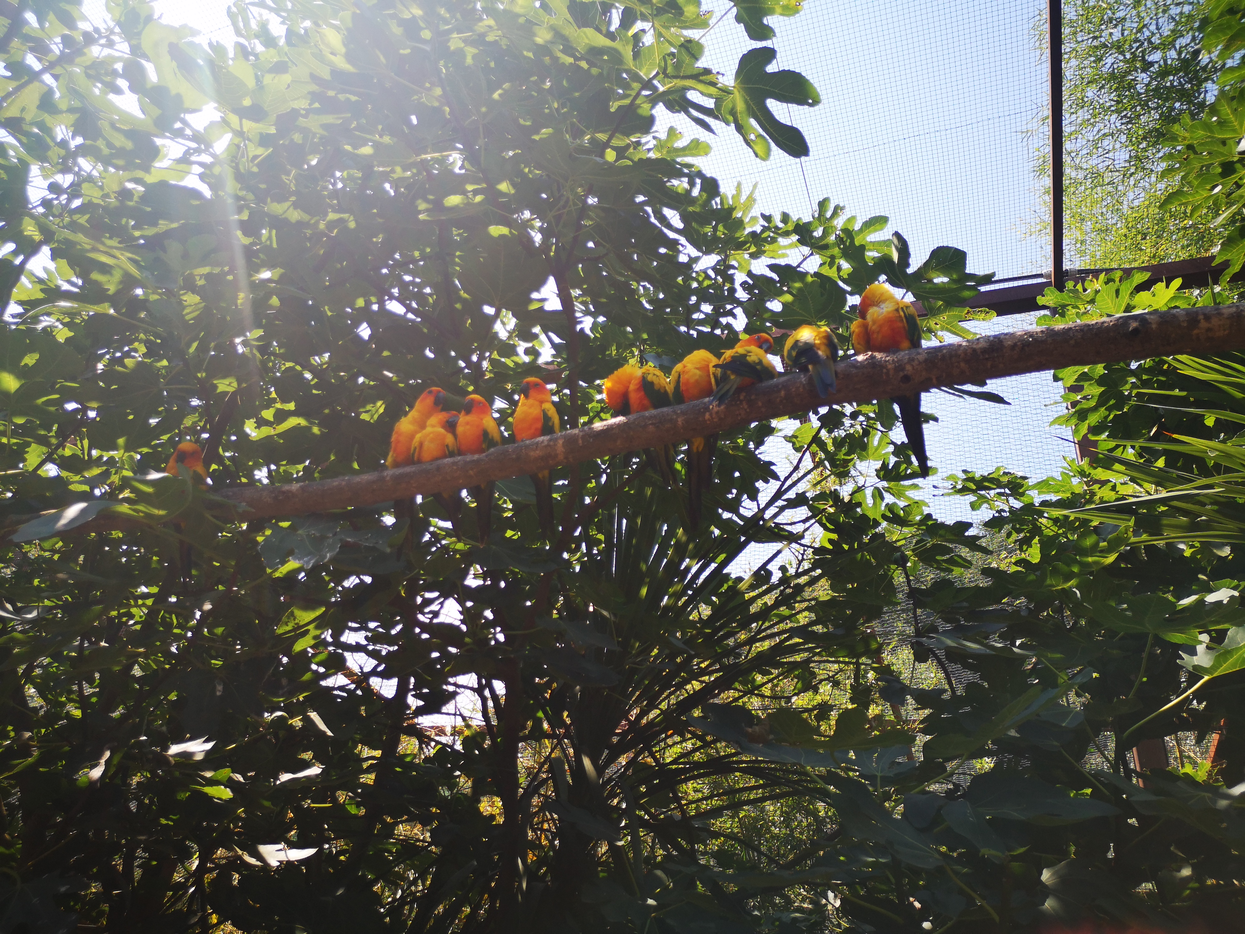 Photo n° 18 de l'avis de Léonie. fait le 26/08/2023 à 20:22