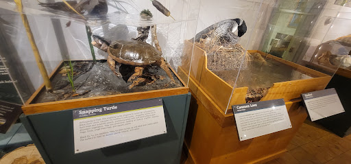 Natural History Museum «George B. Dorr Museum of Natural History», reviews and photos, 105 Eden St, Bar Harbor, ME 04609, USA