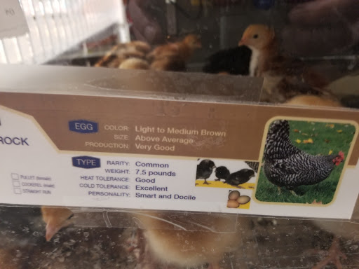 Animal Feed Store «IFA Country Stores», reviews and photos, 1071 Pioneer Rd, Draper, UT 84020, USA