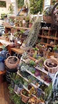 G*plus フェイクグリーンのお店