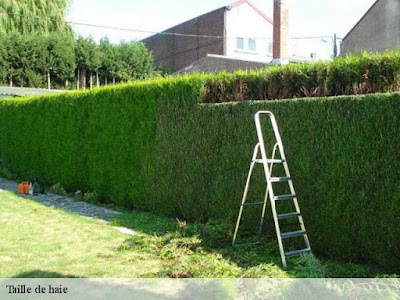 ACTIVE JARDINIER ELAGUEUR PERPIGNAN 66 à Perpignan