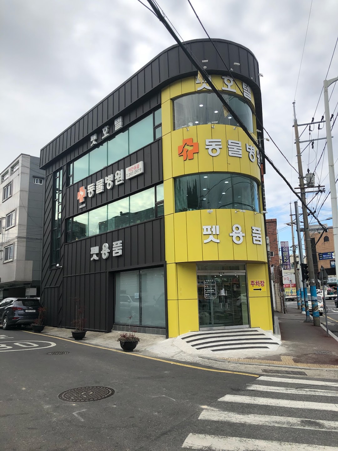 울산 동물병원