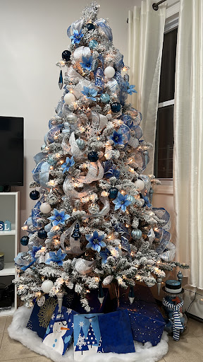 Home Goods Store «Christmas Tree Shops», reviews and photos, 300 Ikea Dr, Paramus, NJ 07652, USA