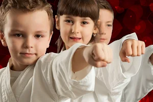 United Martial Arts Centers image