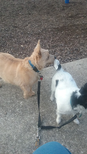 Park «Duffy Park», reviews and photos, 9200 S Millard Ave, Evergreen Park, IL 60805, USA