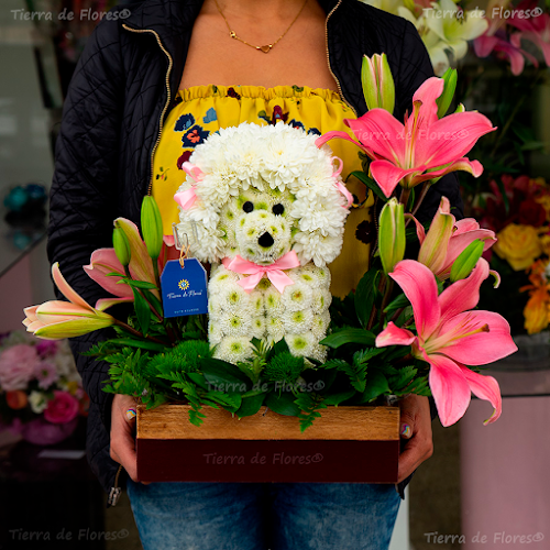 Floristería Tierra de Flores Quito - Arreglos florales a domicilio Quito - Floristería