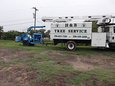 H & B Stump Removal & Tree Services