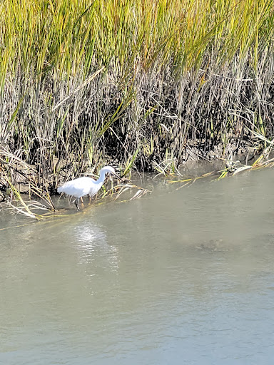 National Park «Atalaya», reviews and photos, Atalaya Rd, Murrells Inlet, SC 29576, USA