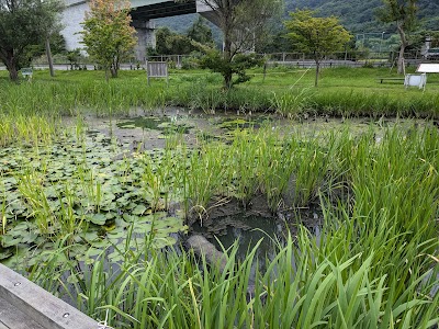 共生の郷 メダカ郷和国