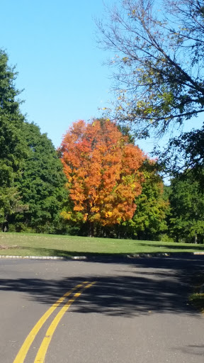 State Park «Monmouth Battlefield State Park», reviews and photos, 16 Business Route 33, Manalapan Township, NJ 07726, USA