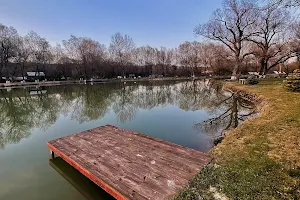 picnic Park image