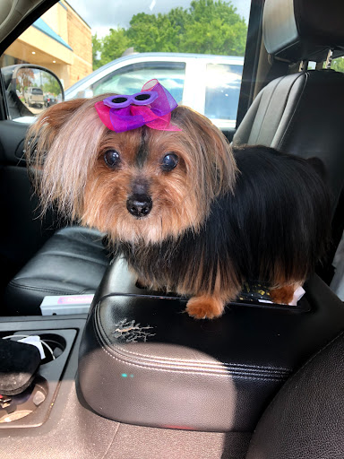 Pet Supply Store «Petco Animal Supplies», reviews and photos, 403 N 8th St, West Dundee, IL 60118, USA