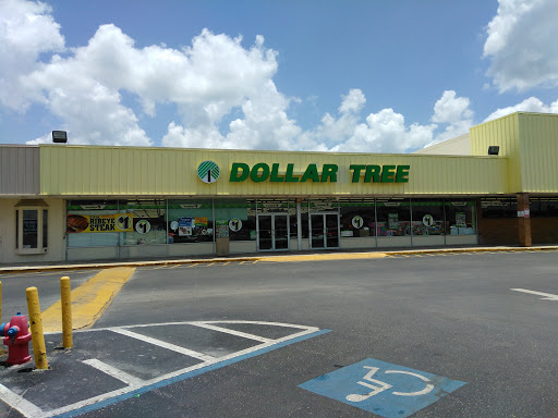 Dollar Store «Dollar Tree», reviews and photos, 4920 Allen Rd, Zephyrhills, FL 33541, USA