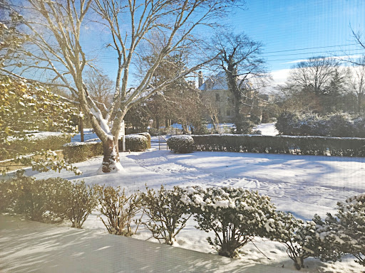 Bed & Breakfast «Morehead Manor Bed and Breakfast», reviews and photos, 914 Vickers Ave, Durham, NC 27701, USA