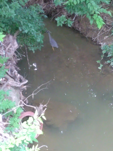 Park «J.A. Carr Park», reviews and photos, 508 Simmons Dr, Euless, TX 76040, USA