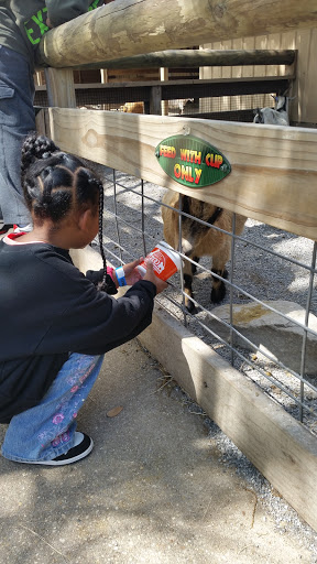 Zoo «Gulf Breeze Zoo», reviews and photos, 5701 Gulf Breeze Pkwy, Gulf Breeze, FL 32563, USA