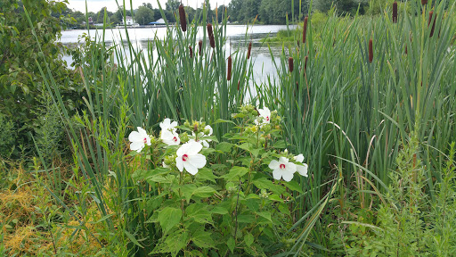 Park «Parks Lake», reviews and photos, Academy St, Rockaway, NJ 07866, USA