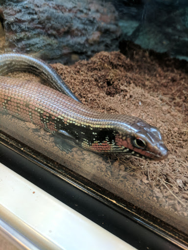 Pet Supply Store «Petco Animal Supplies», reviews and photos, 6612 Richmond Hwy, Alexandria, VA 22306, USA