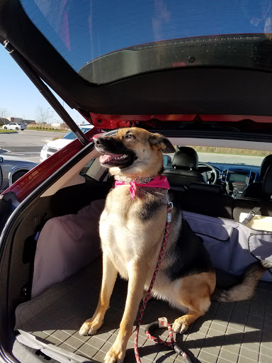 Pet Supply Store «PetSmart», reviews and photos, 815 McDermott Street, Council Bluffs, IA 51501, USA