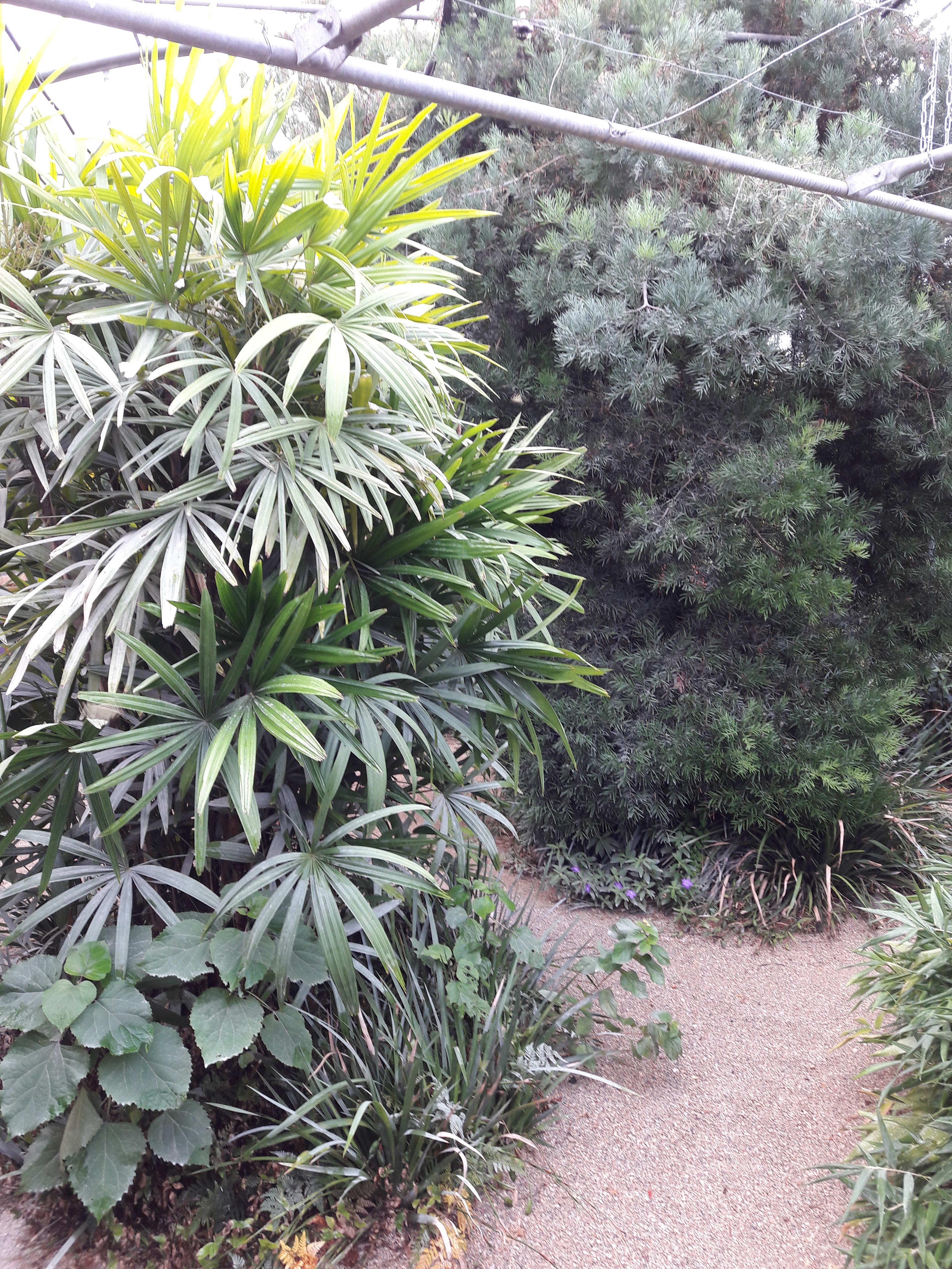 Photo n° 2 de l'avis de Emeric.r fait le 01/08/2017 à 10:26