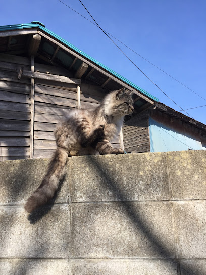 田代島