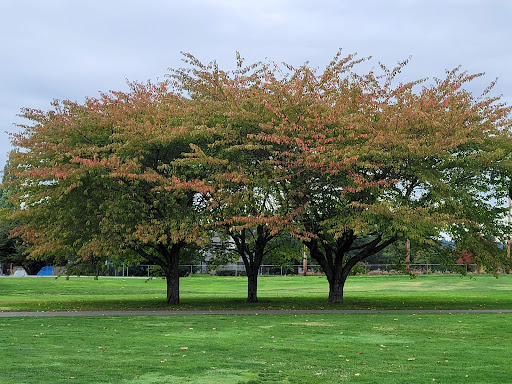 Golf Course «Legion Memorial Golf Course», reviews and photos, 144 W Marine View Dr, Everett, WA 98201, USA