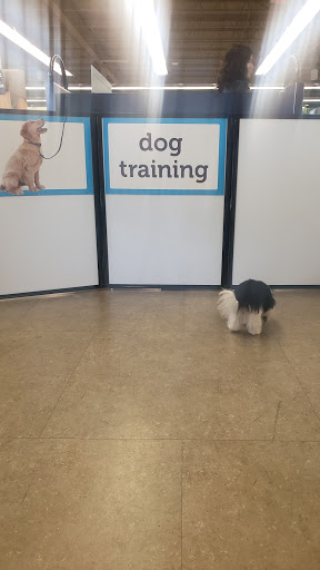 Pet Supply Store «Petco Animal Supplies», reviews and photos, 3774 N Federal Hwy, Lighthouse Point, FL 33064, USA