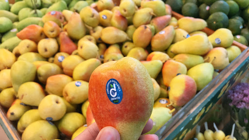 Top 20 apt cửa hàng Quận Hoàng Mai Hà Nội 2022