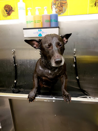 Pet Supply Store «Pet Supplies Plus», reviews and photos, 2433 MacArthur Rd, Whitehall, PA 18052, USA