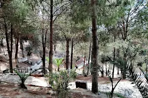 Atça Belediyesi Hacı Salih Bayırı Piknik Alanı image