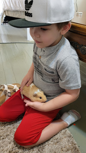 Pet Supply Store «Pet Supplies Plus», reviews and photos, 2410 Augusta Rd, West Columbia, SC 29169, USA