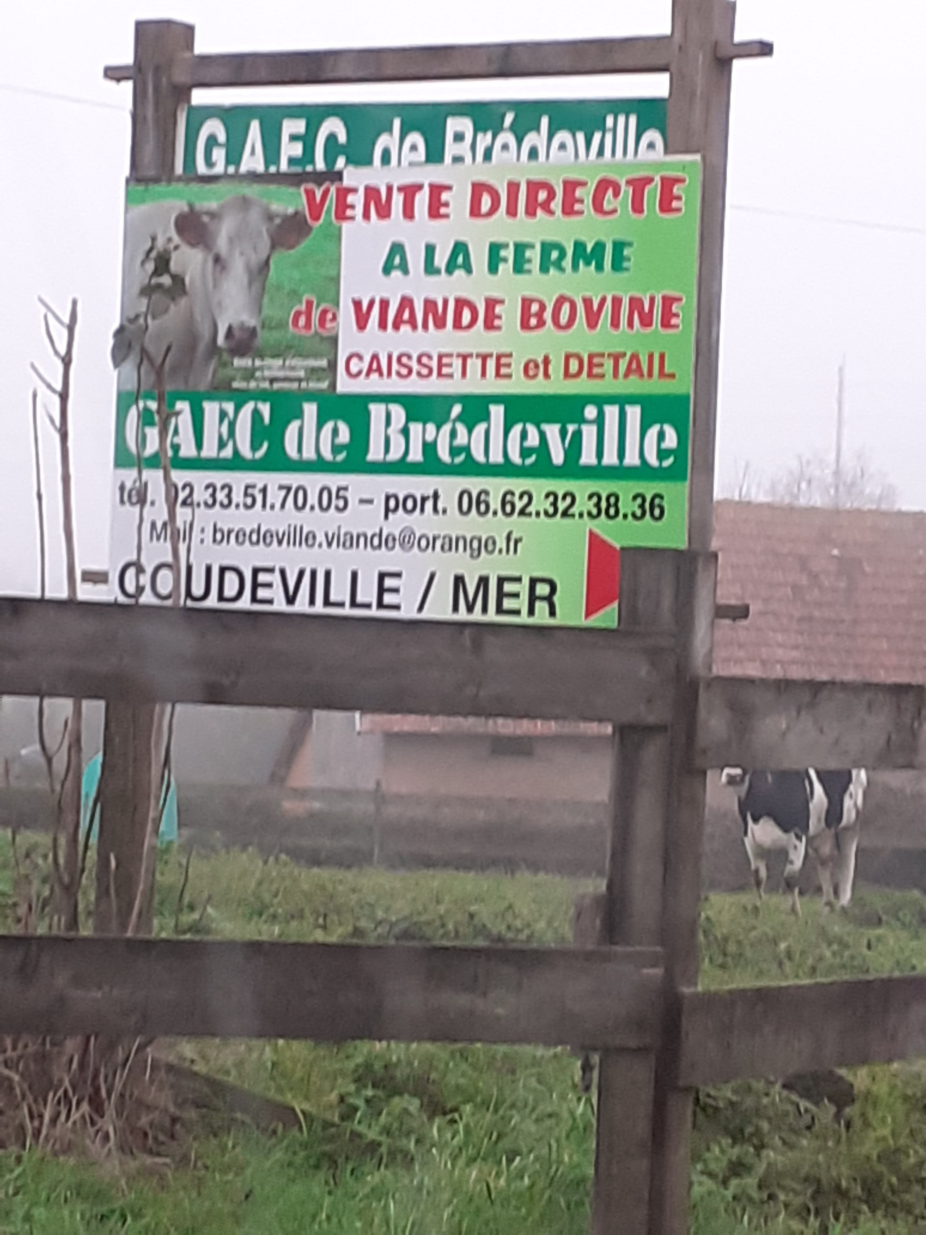 Photo n° 1 de l'avis de Serge.e fait le 23/02/2021 à 19:18