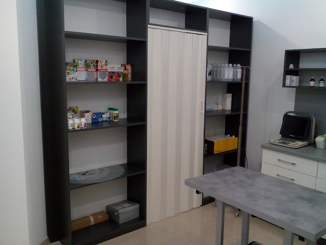 Ветеринарен кабинет ВИДАВЕТ - Ветеринарна болница