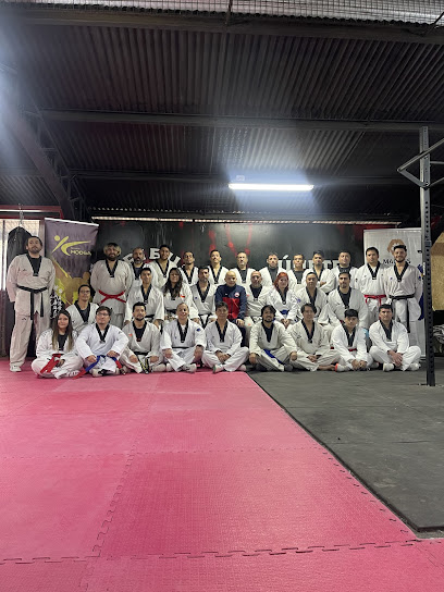 Academia Magnus Taekwondo