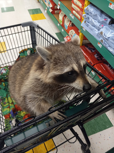 Pet Supply Store «Pet Supplies Plus», reviews and photos, 2471 E State St, Hermitage, PA 16148, USA