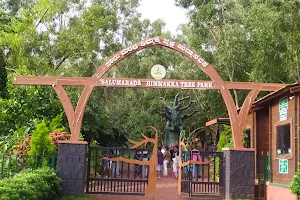 Salu Marada Thimmakka Tree Park image