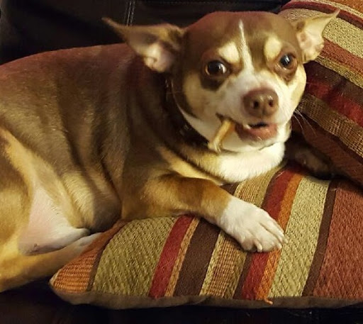 Computer Repair Service «Premier Computers», reviews and photos, 15607 1st Avenue South #101, Burien, WA 98148, USA