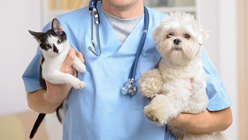 Shore Haven Veterinary Hospital