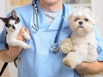 Shore Haven Veterinary Hospital